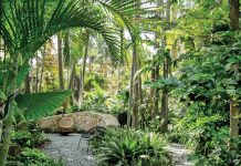 Wild and Effortless Landscape Charms on Belle Meade Island A gravel walkway opens into a hidden alcove framed by native coontie and tough, low-maintenance species that thrive in the heat. The sweeping oolite feature wall was built by hand on-site based on a simple sketch.