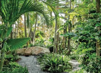 Wild and Effortless Landscape Charms on Belle Meade Island A gravel walkway opens into a hidden alcove framed by native coontie and tough, low-maintenance species that thrive in the heat. The sweeping oolite feature wall was built by hand on-site based on a simple sketch.