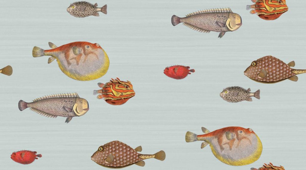 Acquario wallcovering by Cole & Son